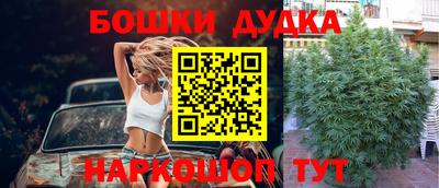 прущие грибы Рязань