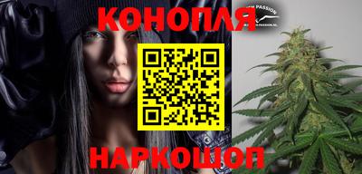 прущие грибы Рязань