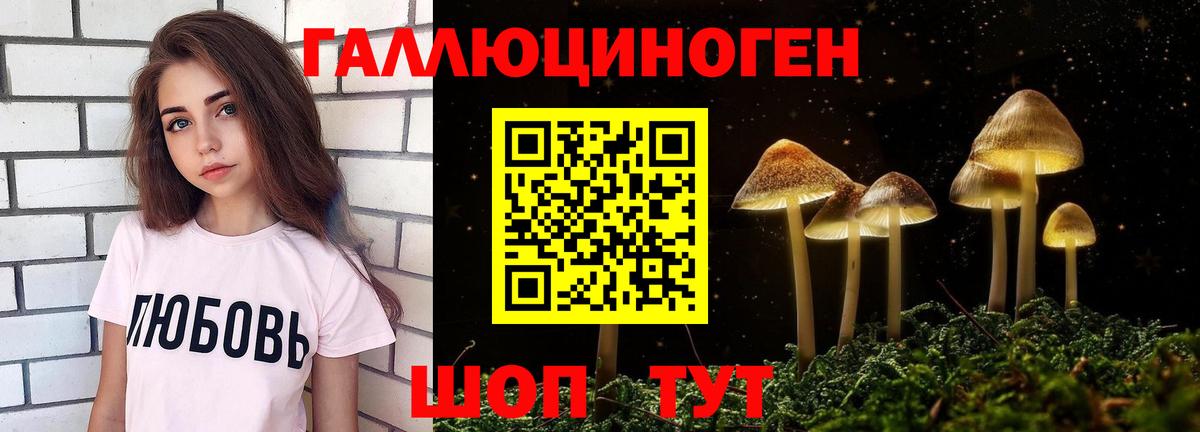 Павловский Посад  Галлюциногенные грибы Psilocybine cubensis  Вход с VPN 