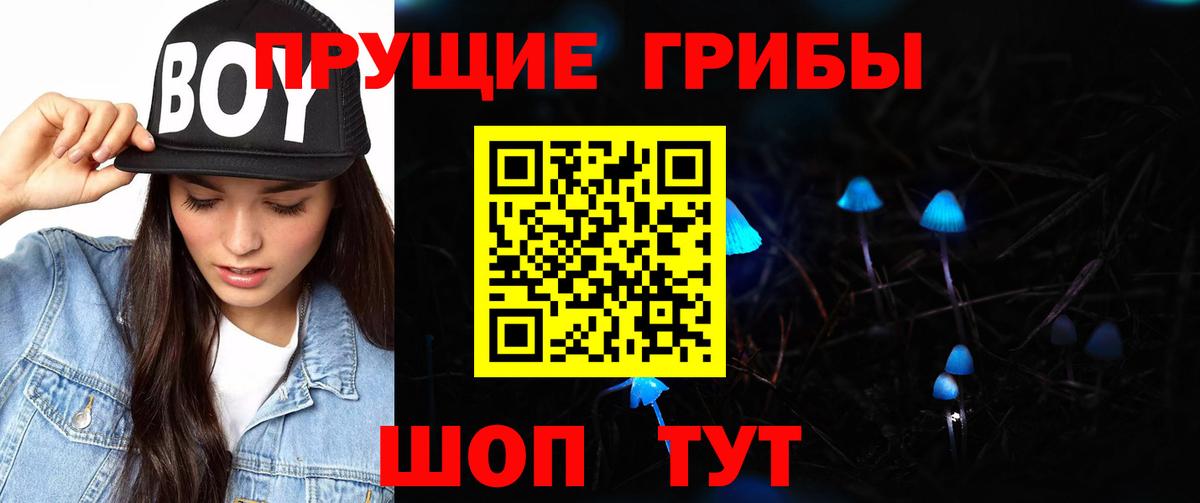 Псилоцибиновые грибы мухоморы Павловский Посад